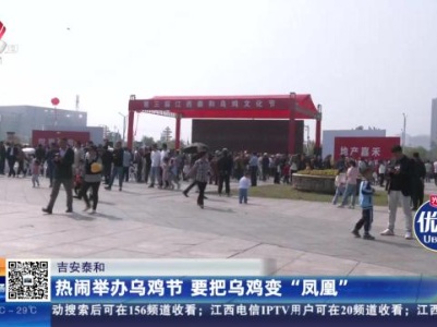 吉安泰和：热闹举办乌鸡节 要把乌鸡变“凤凰”