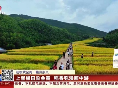 都市现场20231003