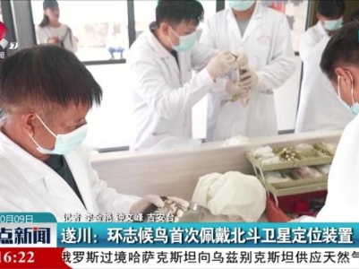 整点新闻20231009 10:00