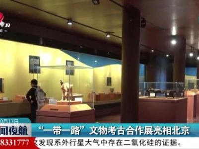 “一带一路”文物考古合作展亮相北京