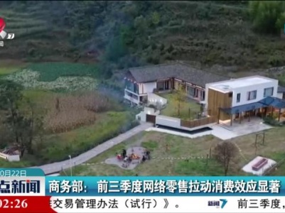  商务部：前三季度网络零售拉动消费效应显著