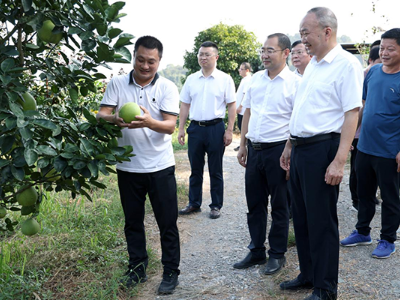 萍乡市经济技术开发区党工委书记、区级总林长杨博开展巡林工作