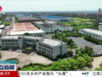 整点新闻20231012 12：00