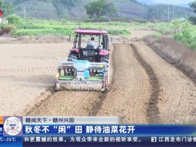 【赣闻天下】赣州兴国：秋冬不“闲”田 静待油菜花开