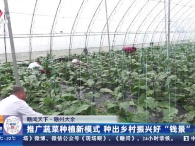 【赣闻天下】赣州大余：推广蔬菜种植新模式 种出乡村振兴好“钱景”