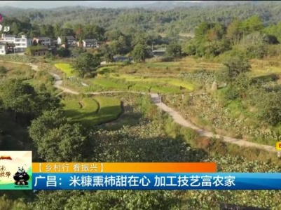 【乡村行 看振兴】广昌：米糠熏柿甜在心 加工技艺富农家