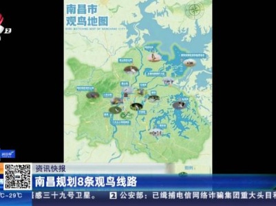 南昌规划8条观鸟线路