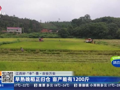 都市现场20231010