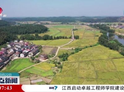 整点新闻20231022 16：00