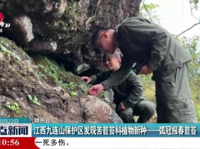 江西九连山保护区发现苦苣苔科植物新种—孤冠报春苦苣