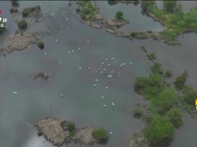 新闻晚高峰20231016