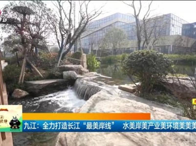 九江：全力打造长江“最美岸线”水美岸美产业美环境美美美与共