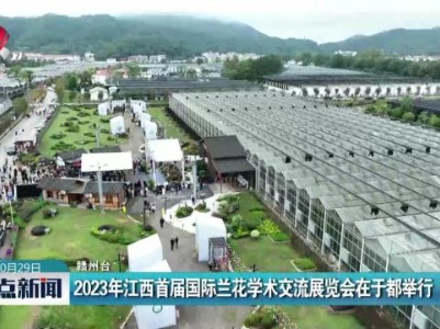 2023年江西首届国际兰花学术交流展览会在于都举行