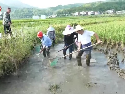 【赣鄱大地喜丰收】蟹肥水美 鱼虾满舱