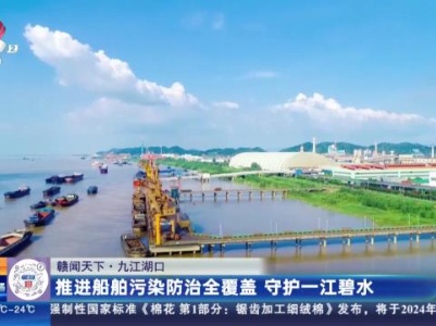 都市现场·午间版20231022