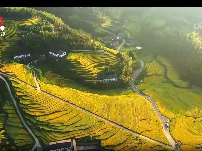 前三季度全省经济加快恢复持续向好