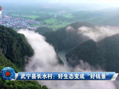 社会传真20231010 武宁县长水村：好生态变成“好钱景”
