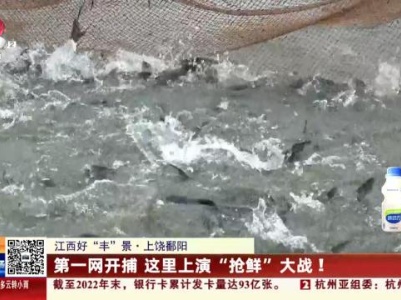 【江西好“丰”景】上饶鄱阳：第一网开捕 这里上演“抢鲜”大战！