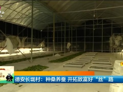 德安长垅村：种桑养蚕 开拓致富好“丝”路