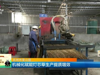 新闻晚高峰20231029