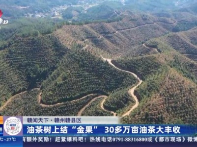 都市现场·午间版20231016