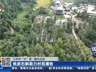 【江西好“丰”景】赣州龙南：铁皮石斛助力村民增收