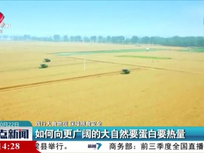 【践行大食物观 保障粮食安全】构建多元化食物供给体系