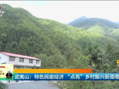 武夷山：特色民宿经济“点亮”乡村振兴新画卷