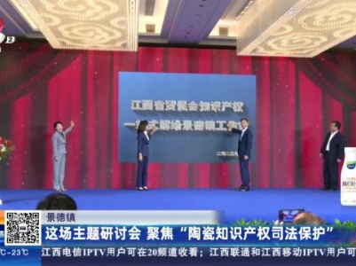 景德镇：这场主题研讨会 聚焦“陶瓷知识产权司法保护”