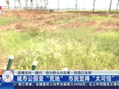 都市现场·午间版20231018
