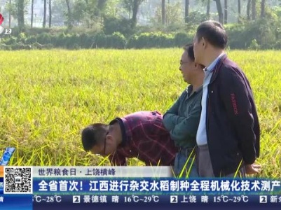 【世界粮食日】上饶横峰：全省首次！江西进行杂交水稻制种全程机械化技术测产