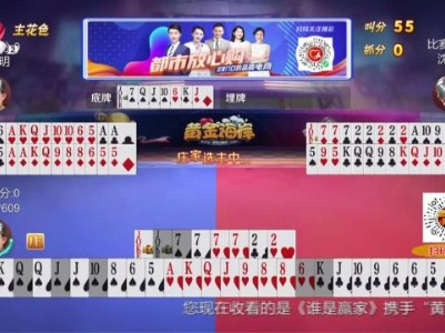 谁是赢家20231029