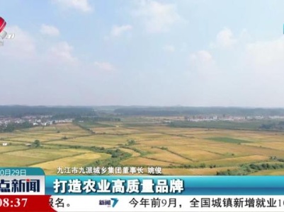 整点新闻20231029 10：00