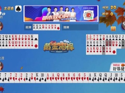谁是赢家20231007