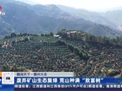 【赣闻天下】赣州大余：废弃矿山生态复绿 荒山种满“致富树”