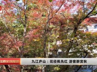 九江庐山：花径枫先红 游客醉赏秋