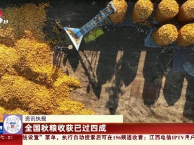 全国秋粮收获已过四成