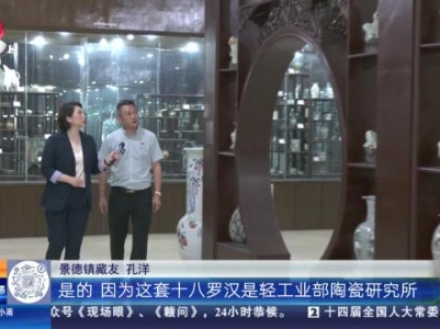 【家有收藏·我和收藏的故事（第二季）】这样的十八罗汉人物雕塑您见过吗？