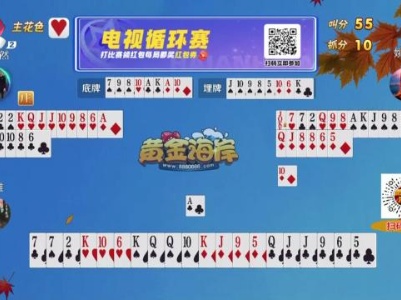 谁是赢家20231019