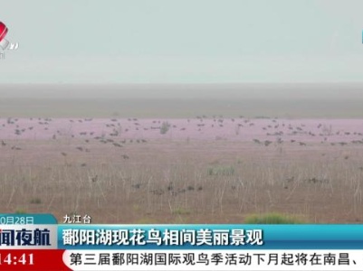 新闻夜航20231028