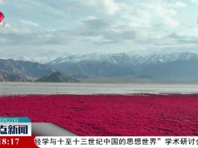 柴达木盆地：大地红毯迎来动物“游客”