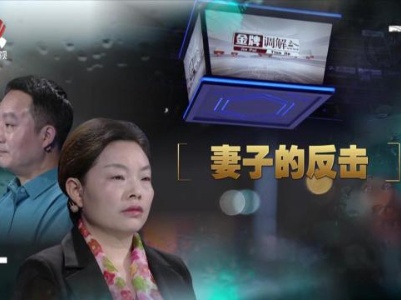 金牌调解20231004 妻子的反击
