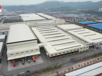 【赣鄱大地喜丰收】抚州市东乡区：丝瓜链出产业新“丝”路