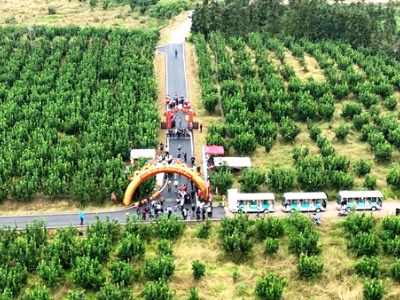 2023年“中国农民丰收节”吉水活动暨吉水井冈蜜柚品鉴汇·井冈蜜柚开园采摘活动举行