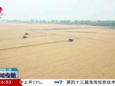 【践行大食物观 保障粮食安全】构建多元化食物供给体系