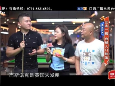 遇见秋天——三点一线 台球入门技法
