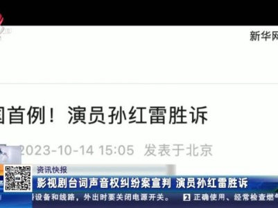 影视剧台词声音权纠纷案宣判 演员孙红雷胜诉