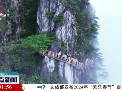 整点新闻20231008 16:00