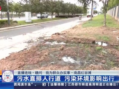 都市现场·午间版20231020