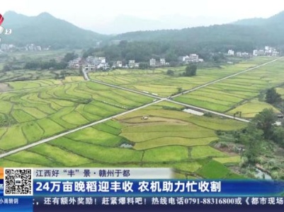 【江西好“丰”景】赣州于都：24万亩晚稻迎丰收 农机助力忙收割